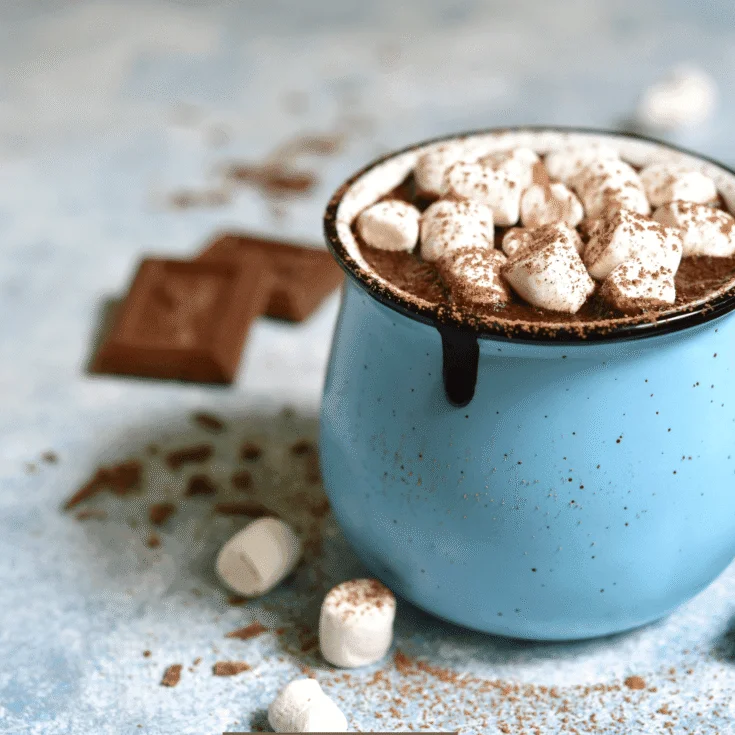 Swiss Miss Non-Dairy Hot Chocolate