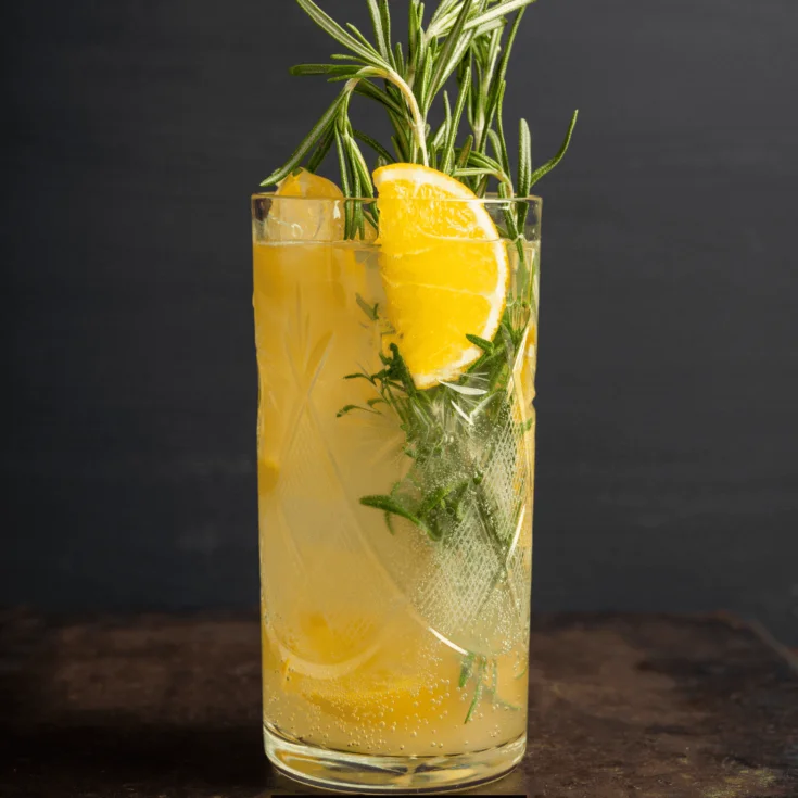 Refreshing Lemon San Diego Cocktail Recipe garnished with lemon and mint.